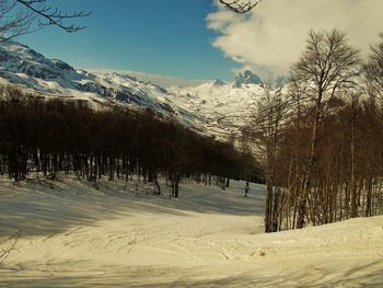 Scenic view of snow covered mountains