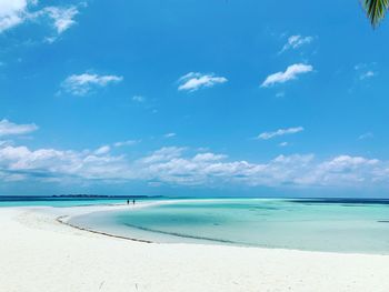 Scenic view of beach against blue sky