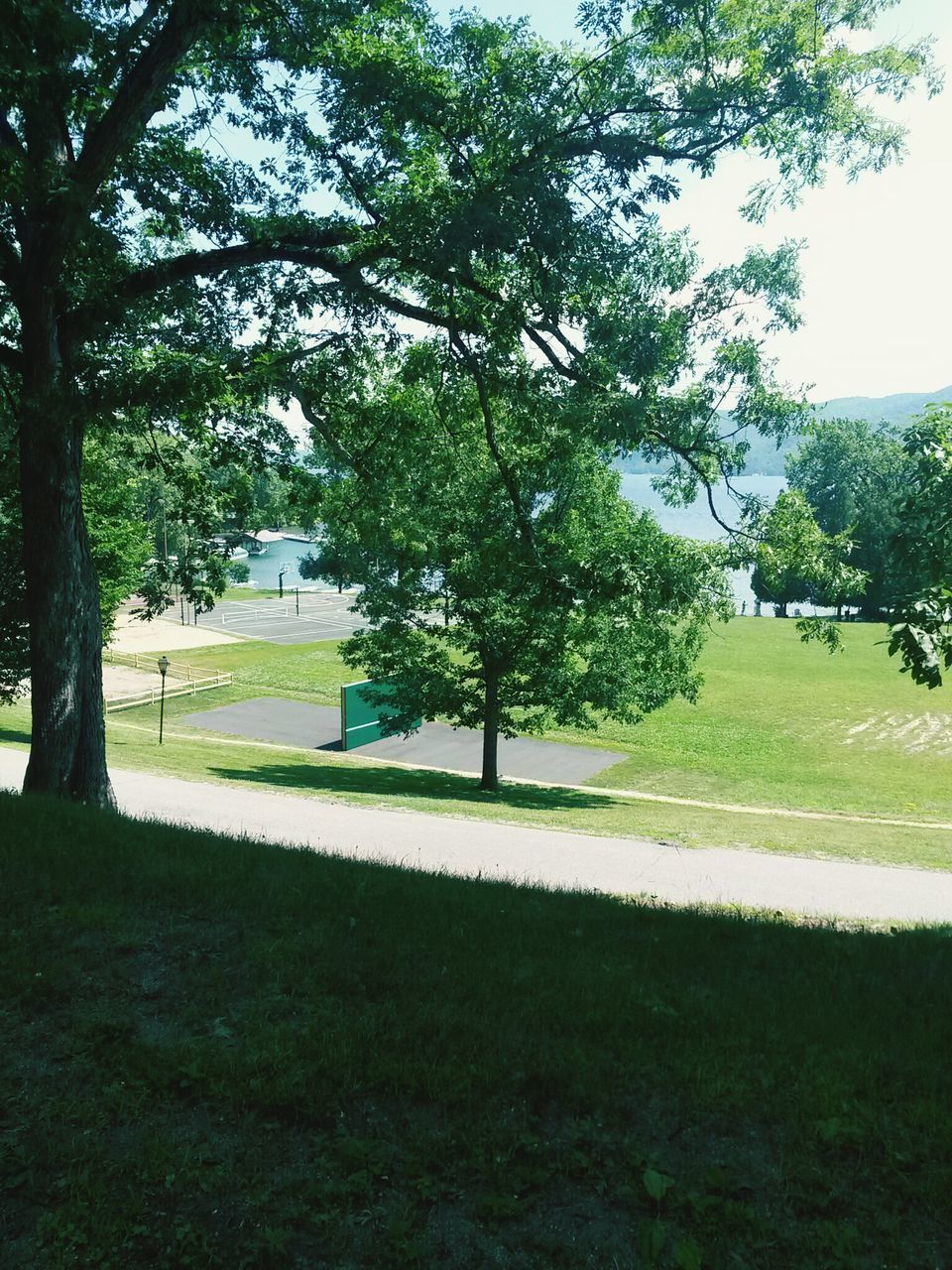 tree, grass, park - man made space, green color, growth, lawn, built structure, field, nature, tranquility, architecture, branch, grassy, sunlight, park, shadow, building exterior, clear sky, tree trunk, day