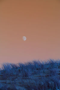 Scenic view of field against clear sky at sunset