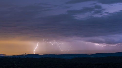 Scenic view of lightning in sky at night