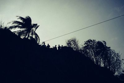 Low angle view of palm trees against clear sky