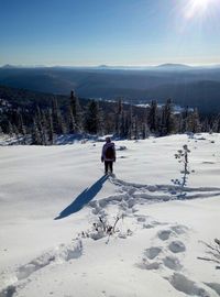 Rear view of person skiing on snowcapped mountain