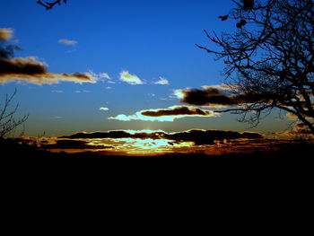 Silhouette trees against sky during sunset