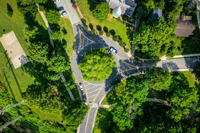 High angle view of road amidst trees