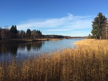 Scenic view of calm lake