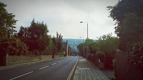 Empty road along trees