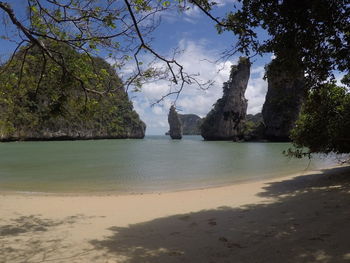 View of trees on beach