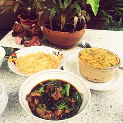 High angle view of potted plants