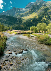 Scenic view of waterfall in forest