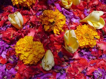 Full frame shot of yellow flowers