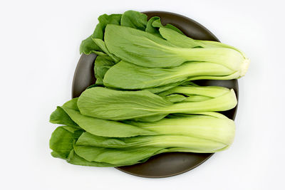 High angle view of green leaves against white background