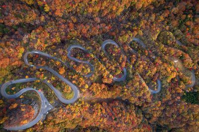 Aerial view of winding road amidst trees in forest during autumn