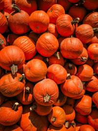 Full frame shot of pumpkins at market