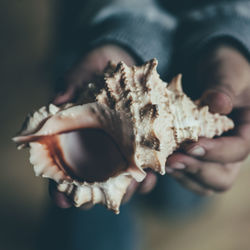 Close-up of hand holding ice cream