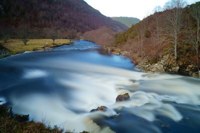 Scenic view of river flowing amidst trees against sky