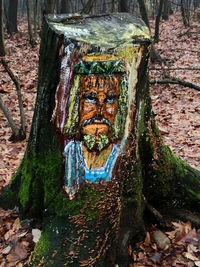 Close-up of old weathered tree trunk