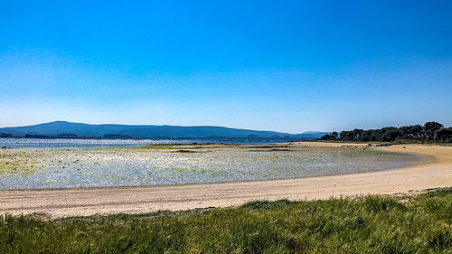 Scenic view of beach against clear blue sky