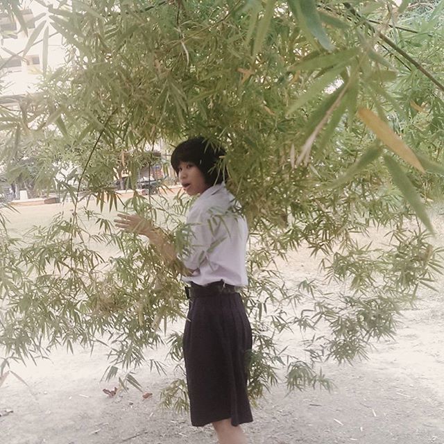 tree, lifestyles, leisure activity, rear view, casual clothing, full length, standing, branch, growth, nature, person, tree trunk, day, sand, walking, three quarter length, beach, young adult