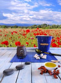 Flower pot on table against blue sky