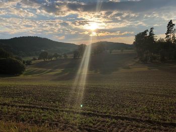 Scenic view of agricultural field against sky during sunset