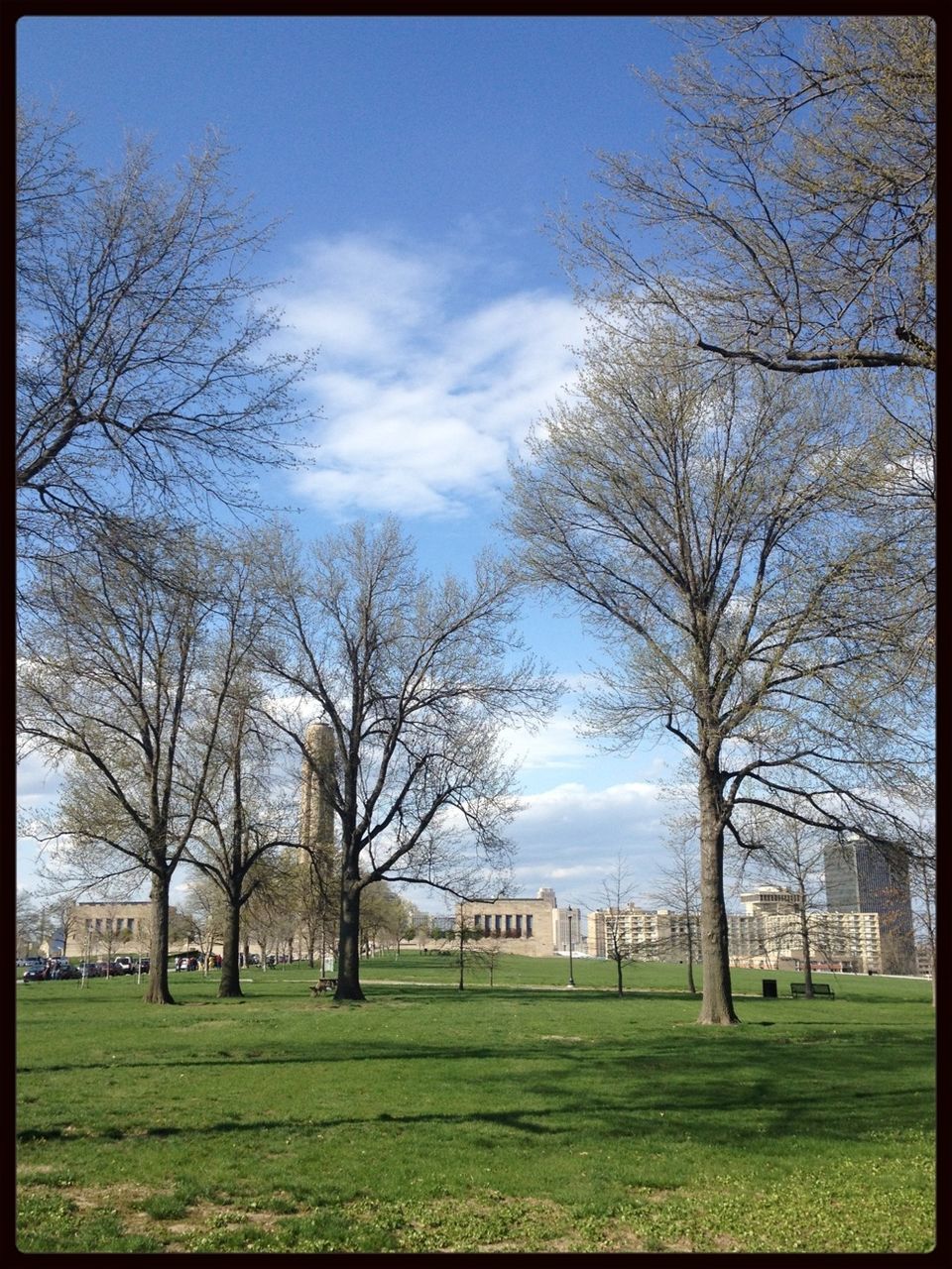 tree, grass, bare tree, sky, branch, field, lawn, built structure, park - man made space, building exterior, architecture, cloud - sky, grassy, nature, landscape, tree trunk, park, tranquility, cloud, green color