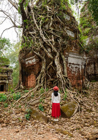 Rear view of woman on tree