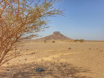 Scenic view of desert against clear sky