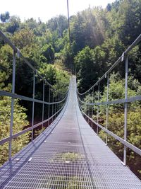 Footbridge amidst trees in forest