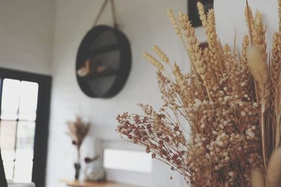 Close-up of dry flowers in vase at home