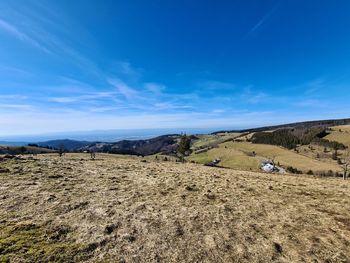 Scenic view of field against blue sky