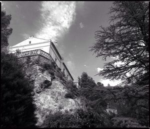 Low angle view of trees against sky