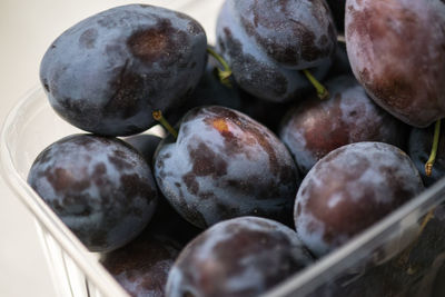 Close-up of damson plums in container