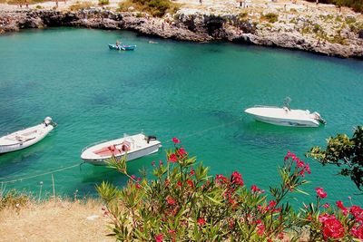 Boats in sea