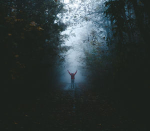 Person standing in forest