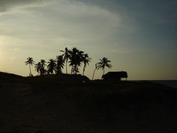 Silhouette palm trees on beach against sky