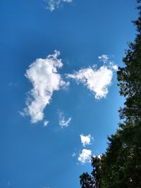 Low angle view of trees against blue sky