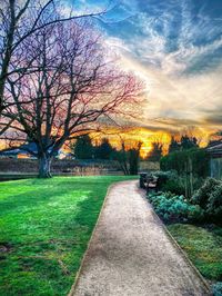 Road amidst bare trees in park against sky at sunset