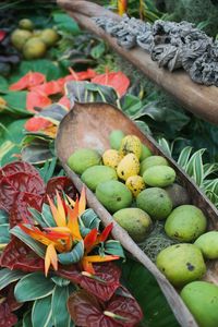 Close-up of fresh fruits on plant at market stall