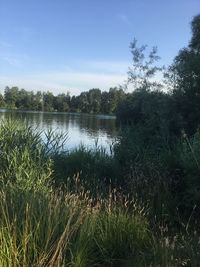 Scenic view of lake against sky