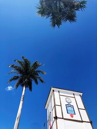 Low angle view of palm tree against blue sky