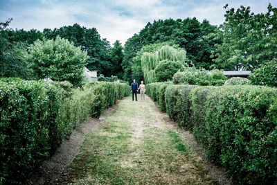 Rear view of woman walking on footpath amidst trees against sky