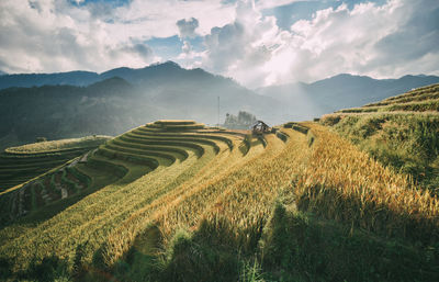 Panoramic view of agricultural field against sky