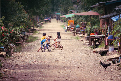 Girls riding bicycles on dirt road