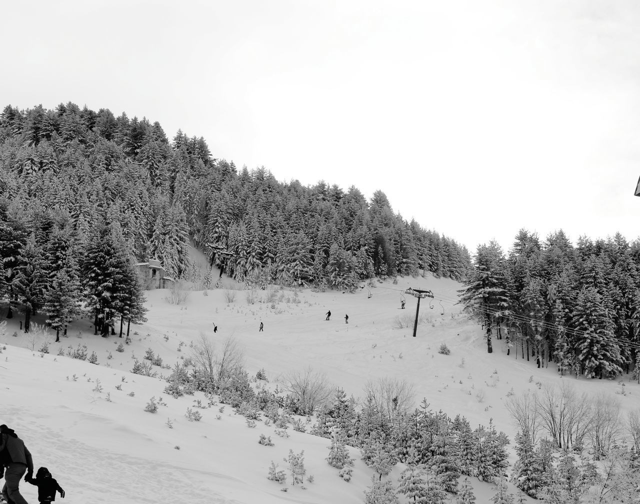 SNOW COVERED LANDSCAPE AGAINST CLEAR SKY