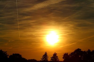 Low angle view of silhouette trees against sky during sunset