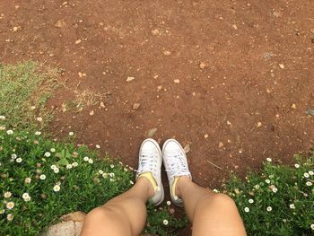 Low section of girl sitting by flowers