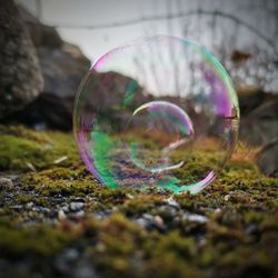 Close-up of bubbles