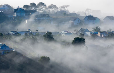 High angle view of trees and buildings in city