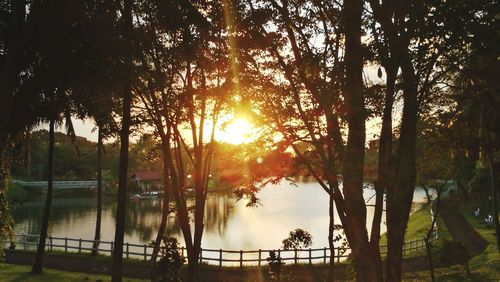 Trees by lake against sky during sunset